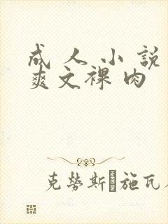 成 人 小 说爽文裸 肉