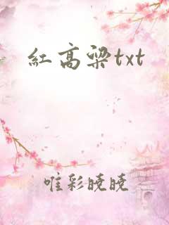 红高粱txt