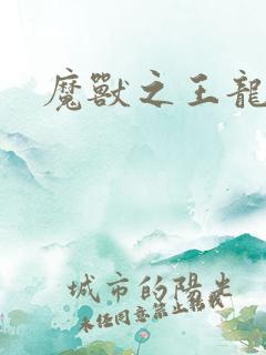 魔兽之王龙傲天