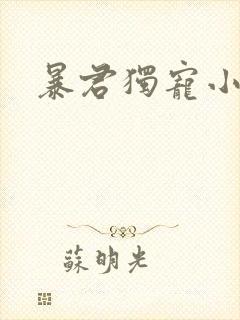 暴君独宠小俏后