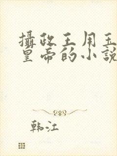 摄政王用玉髓整皇帝的小说