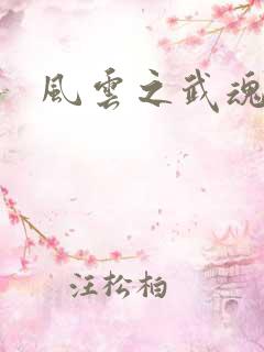 风云之武魂