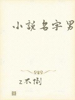 小说名字男生