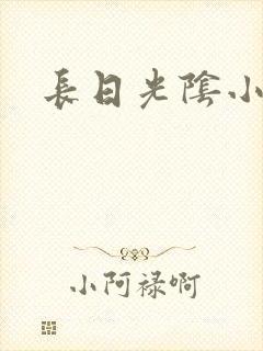 长日光阴小说