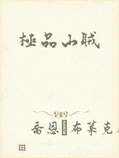 极品山贼