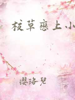 校草恋上小丫头