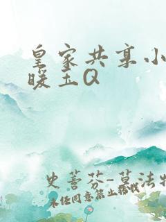 皇家共享小公主暖玉Q