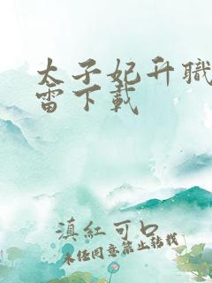 太子妃升职记迅雷下载