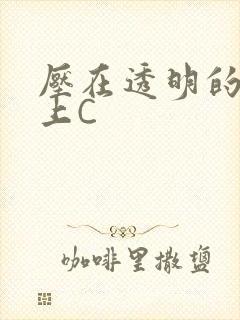 压在透明的玻璃上C