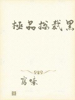 极品总裁黑道妻