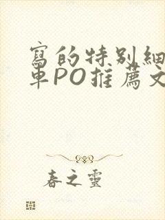 写的特别细的开车PO推荐文多人