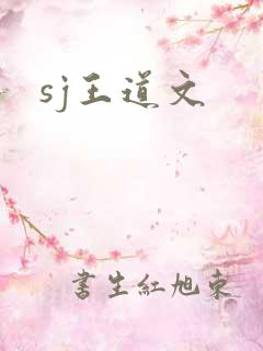 sj王道文
