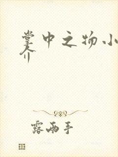 掌中之物小说简介