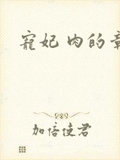 宠妃 肉的章节