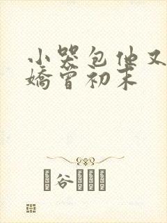 小哭包他又软又娇曾初末