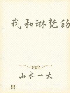我和琳梵的故事