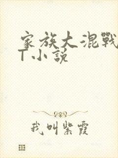 家族大混战TXT小说