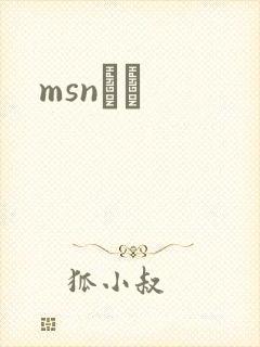 msnС˵