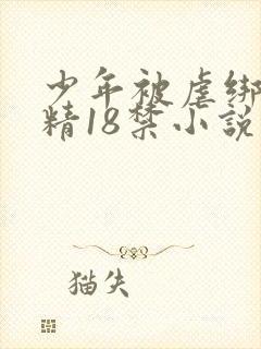 少年被虐绑着榨精18禁小说