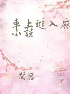 车上进入麻麻的小说