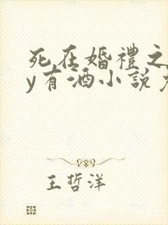 死在婚礼之前by有酒小说免费阅读