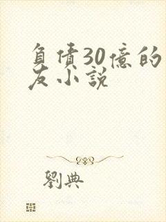 负债30亿的男友小说