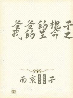 爸爸的棍子顶着我的生命之门