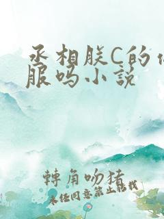 丞相朕C的你舒服吗小说