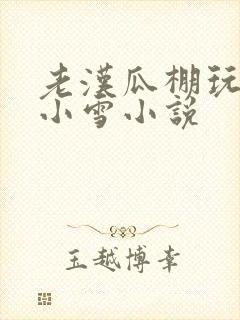 老汉瓜棚玩小丹小雪小说