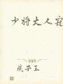 少将大人宠宠我