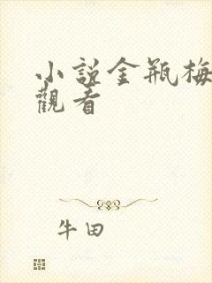 小说金瓶梅在线观看