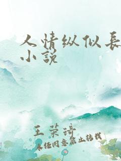 人情纵似长情月小说