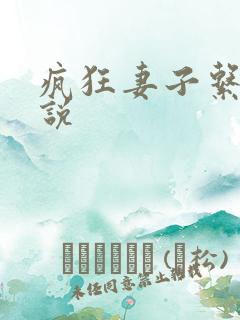 疯狂妻子系列小说