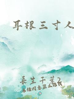 耳根三寸人间