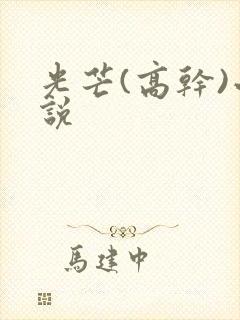 光芒(高干)小说