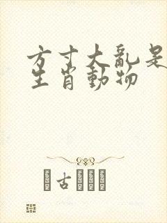 方寸大乱是什么生肖动物