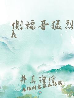 侧福晋猛烈顶弄h