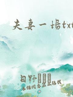 夫妻一场txt