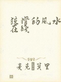 狡猾的风水相师在线