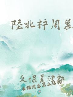 陆北柠周慕深