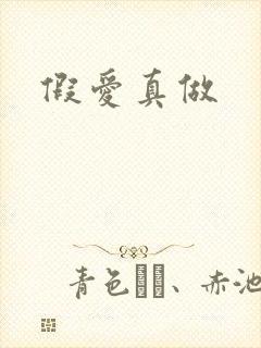 假爱真做