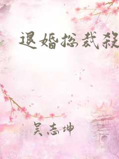 退婚总裁杀手妻