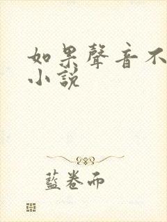 如果声音不记得小说