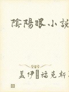 阴阳眼小说