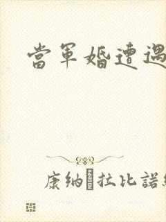 当军婚遭遇爱情