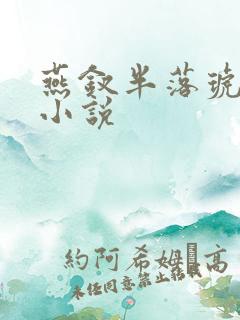 燕钗半落琥珀糖小说