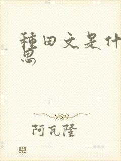 种田文是什么意思