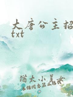 大唐公主招亲记txt
