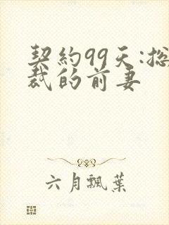 契约99天:总裁的前妻