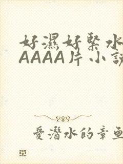 好湿好紧水多AAAAA片小说